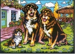 Samtbild Drei Hunde vor Haus