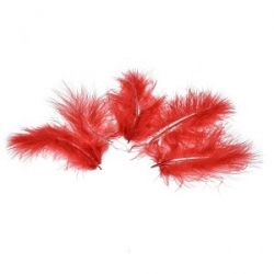 Marabufedern, rot, ca. 8 bis 10 cm, ca. 22 Stück