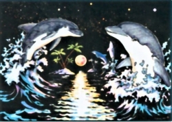 Samtbild Zwei springende Delfine